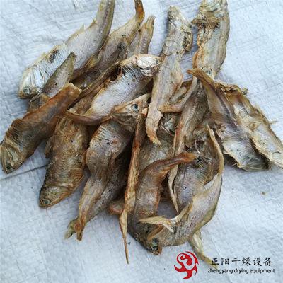 鱼干小虾烘干